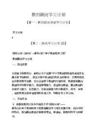 工作计划之教师跟岗学习计划