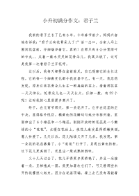 小升初满分作文：君子兰.docx