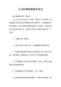 公司经理述职报告范文