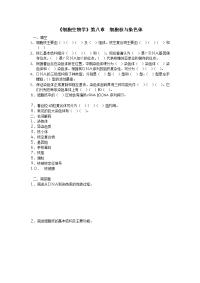 细胞生物学 第八章细胞核