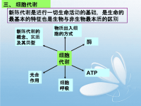 生物学案细胞代谢