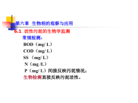 水处理生物学(第十一讲)