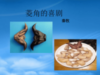 高中语文《菱角的喜剧》课件 粤教