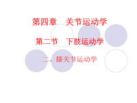 运动生物力学整套课件膝关节运动学