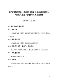 上海海虹实业（集团）巢湖今辰药业有限公司生产废水处理技改工程项目可行性研究报告