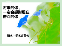 衡水中学名言警句.ppt