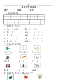 小学-年级拼音知识练习题(9套)