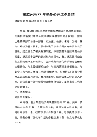 银监分局xx年政务公开工作总结