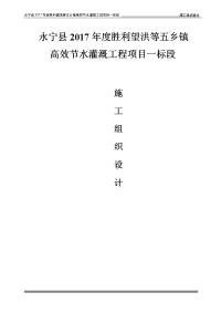 永宁县年度胜利望洪等五乡镇高效节水灌溉工程项目施工组织设计