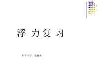初中物理复习课件--浮力
