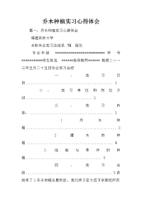 乔木种植实习心得体会