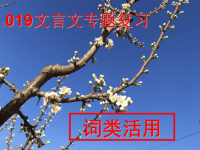 2018高考高考文言之词类活用