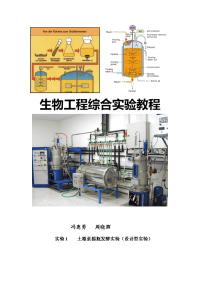 生物工程综合实验教程