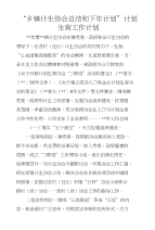 “乡镇计生协会总结和下年计划”计划生育工作计划
