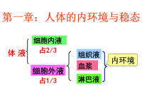 高中生物必修3复习课件