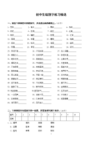 初中生错别字练习精选