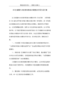 XX区城镇污水处理和黑臭水体整治专项行动方案(共5页)