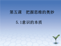 课件-高中政治-政治生活-5.1意识的本质