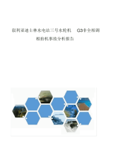 【报告】叙利亚迪士林水电站三号水轮机G3非全相调相抬机事故分析报告