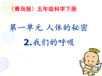 小学科学《我们的呼吸》课件1