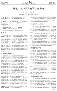 隧道工程中的灾害及防治措施.pdf