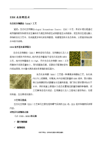 最新EBR水处理技术