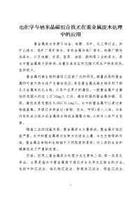 电化学与纳米晶磁组合技术在重金属废水处理中的应用