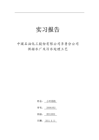 中国石油化工股份有限公司齐鲁分公司供排水厂及污水处理工艺(实习报告)