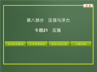 中考物理复习专题21压强ppt课件