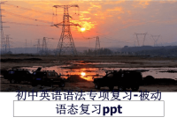 最新初中英语语法专项复习-被动语态复习ppt资料.ppt
