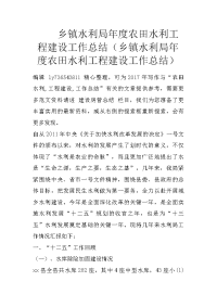 乡镇水利局年度农田水利工程建设工作总结（乡镇水利局年度农田水利工程建设工作总结）