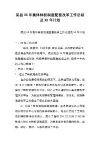 某县xx年集体林权制度配套改革工作总结及xx年计划