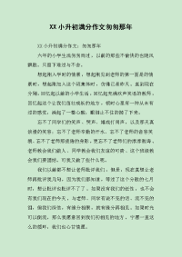 XX小升初满分作文匆匆那年.docx