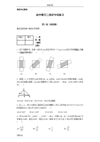 初中数学三角形专项练习