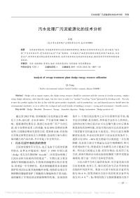 污水处理厂污泥能源化的技术分析_齐刚