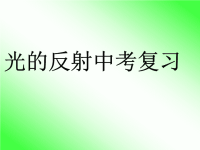 中考物理总复习课件《_光的反射》