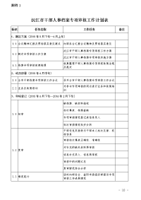 沅江市干部人事档案专项审核工作计划表