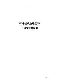 公司运营实施计划书模板-企业运行计划