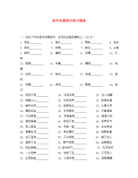 初中语文 错别字练习精选