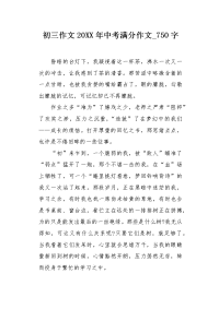 初三作文20XX年中考满分作文750字.docx