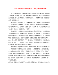 河北省2020年中考语文满分作文 我与大海的亲密接触素材（通用）