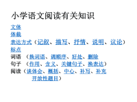 小学语文阅读复习ppt课件