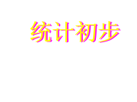 2010届中考数学复习课件14：统计