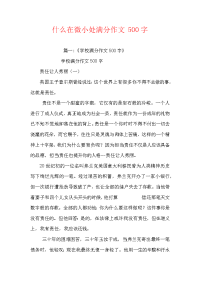 什么在细微处满分作文500字