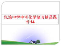 最新张浪中学中考化学复习精品课件14PPT课件