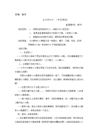 小班数学大大和小小.doc