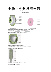 人教版初中生物中考复习图专题