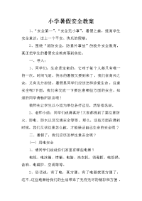 小学暑假安全教案