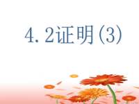 初中数学课件4.2证明