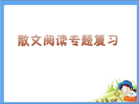 【5A文】中考散文阅读复习课件